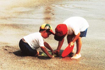 digging.jpg (22474 bytes)